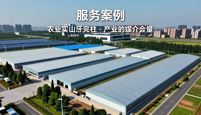 媒介融合背景下媒介投放服务的实践与趋势